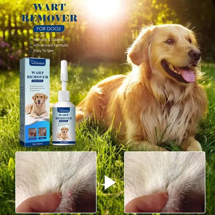 Dissolvant de verrues naturelles pour chien