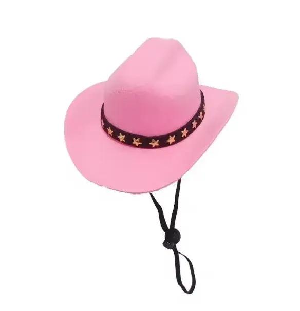 Chapeau de cowboy britannique pour chien