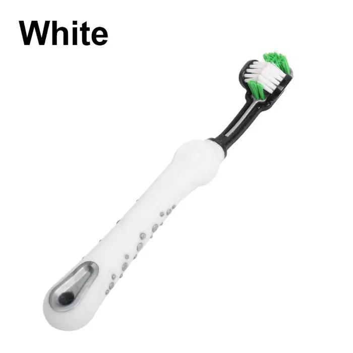 Chien chat brosse mauvaise haleine soins dentaires pour animaux de compagnie