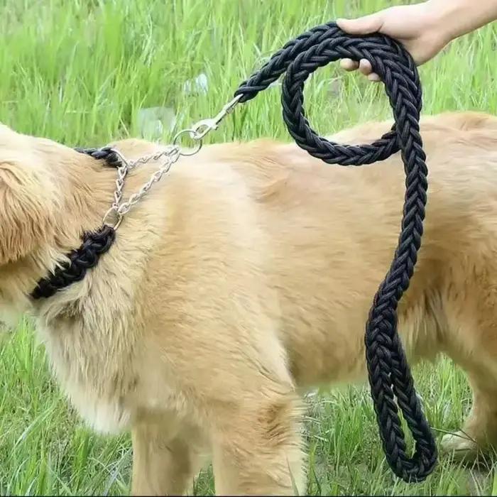 Laisse pour chien pour un entraînement efficace et des promenades confortables, tressée, solide et durable, adaptée aux grands chiens, laisse d'entraînement pour chien