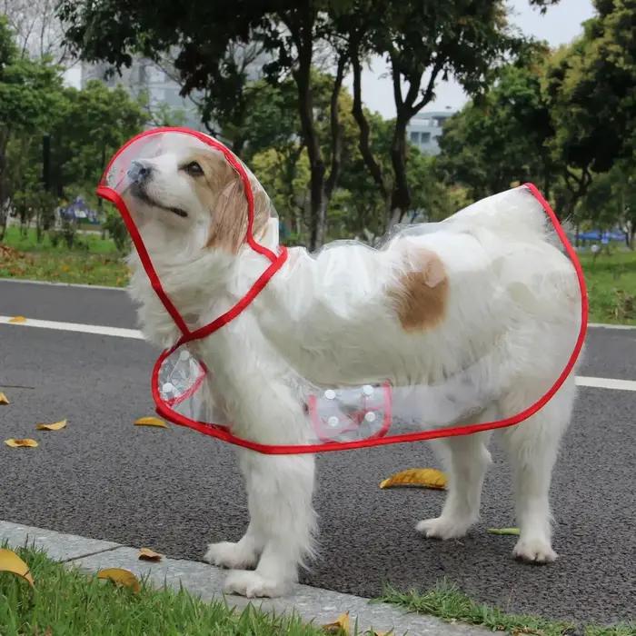 Imperméable à capuche transparent pour animaux de compagnie