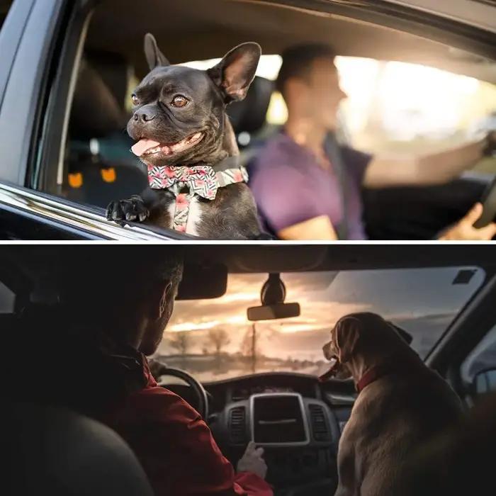Housse de siège avant pour chien pour voitures, protection de siège de voiture pour animaux de compagnie antidérapante 100% imperméable, housses de siège pour chien rembourrées et durables pour voitur