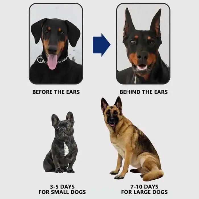Autocollants de Support d'oreille de chien Kit de Publication d'oreille Fixe Doberman Lisseur sur Pied d'Oreille de Chiot Outils de Correction de Support d'Oreille de Chien Vertical Occasions Spéciales