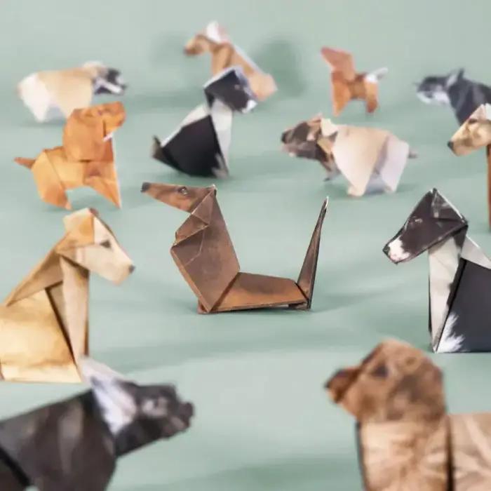 Kit d'origami pour chats en papier DIY 50 feuilles – Ensemble d'artisanat pliant pour chat et chien