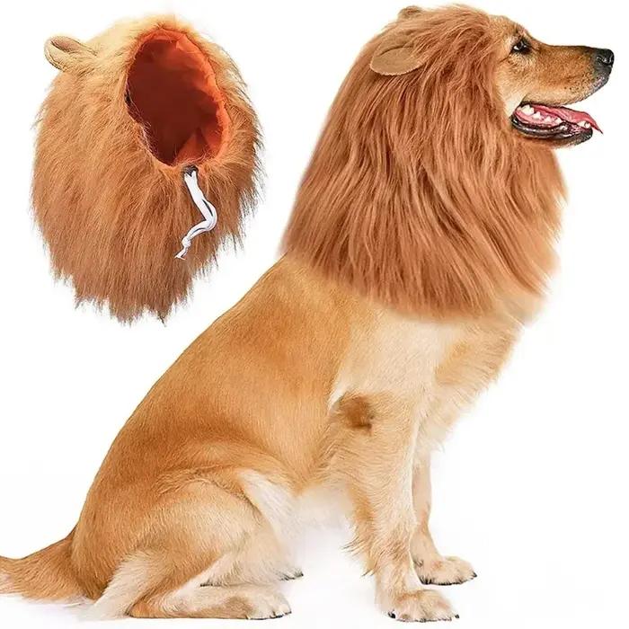 Grands oreilles de chien