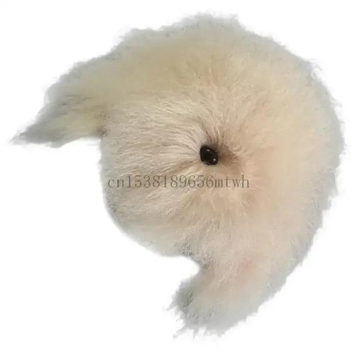 Toilettage pour animaux compagnie formation cheveux pour chien modèle bricolage ciseaux pratique outil B03D