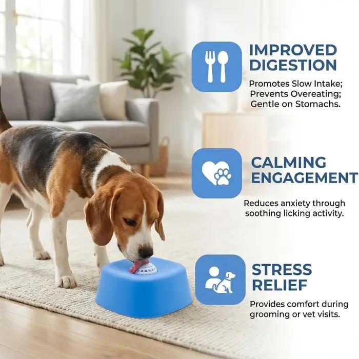 Gamelle anti-étouffement à alimentation lente pour chien