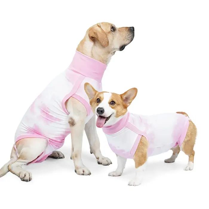 Combinaison de récupération pour chien, combinaison chirurgicale pour plaies abdominaux, combinaison