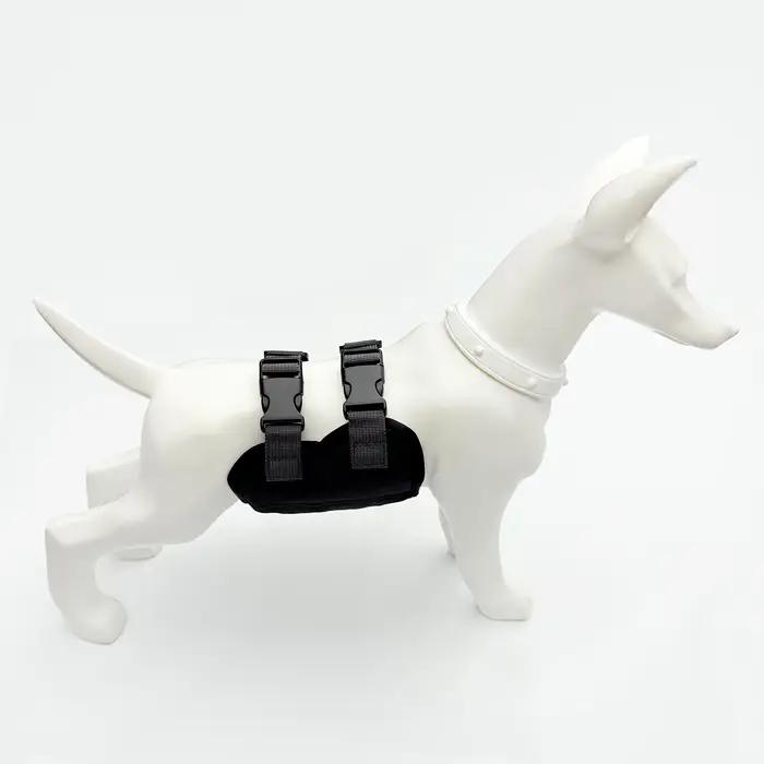 Pantalon Physiologique pour Animaux de Compagnie, Anti-Harcelement, Sécurité en Extérieur, Confortab