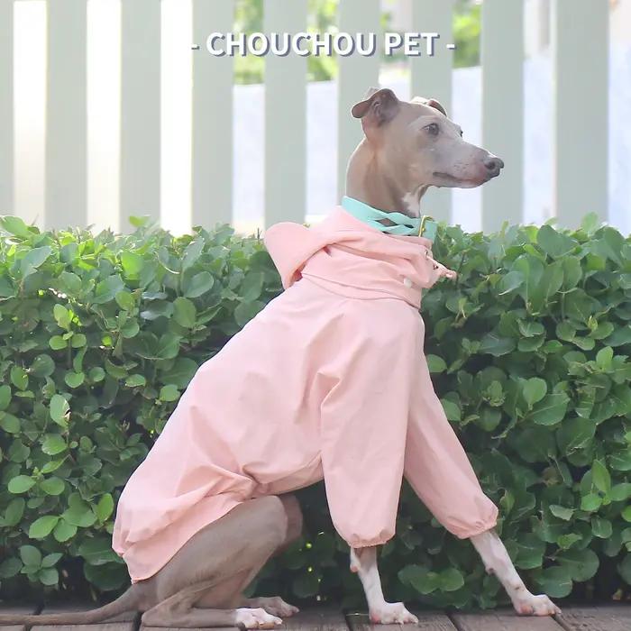 Vêtements pour animaux de compagnie Whippet lévrier italien pour l'automne protection solaire extéri