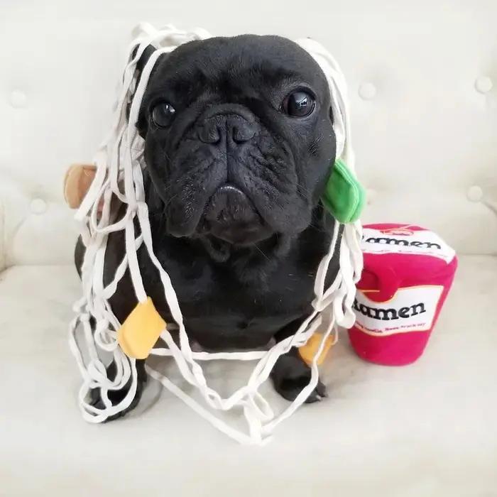 Chiens Snuffle jouets chiot chien nez jouet d'entraînement chien de compagnie reniflage Puzzle jouets drôle nouilles forme fuite nourriture jouets