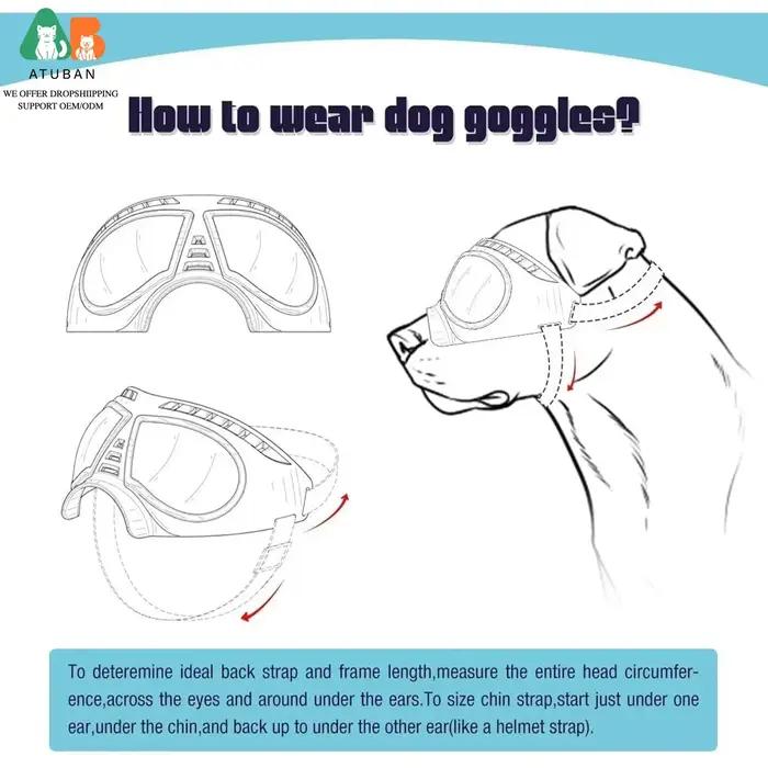 Lunettes de soleil transparentes anti-UV pour chiens de grande race