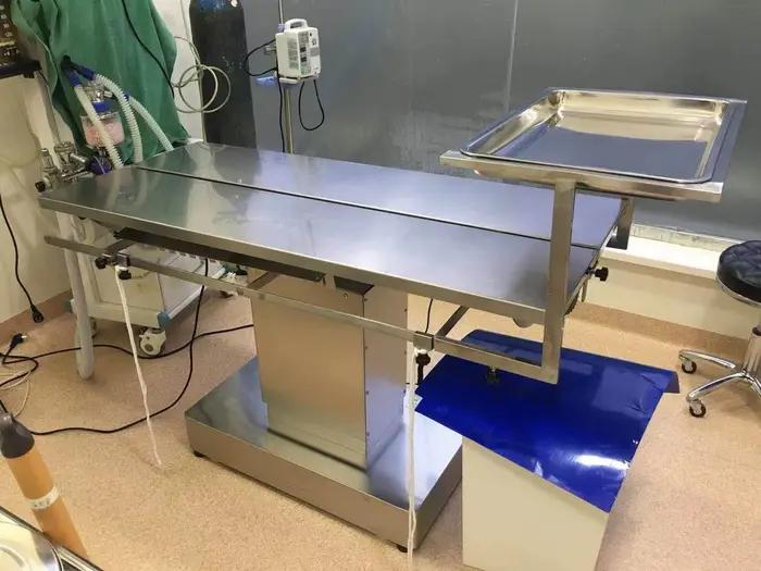 Table d'opération en acier inoxydable 304 pour animaux de compagnie ajustable haute qualité pour soins médicaux vétérinaires occasions spéciales