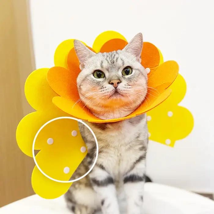 Collier de protection pour animaux de compagnie, cône de récupération de cou de chien, pour Anti-morsure, chirurgie de léchage, guérison des plaies, cercle médical de santé pour chiens et chats