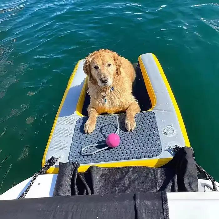 Planche gonflable pour chiots, quai flottant bon marché, rampe gonflable pour chiens
