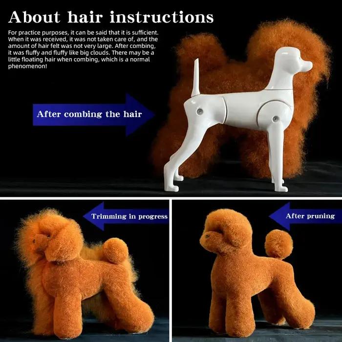 Modèle de chien Teddy pour la simulation de poils d'animaux