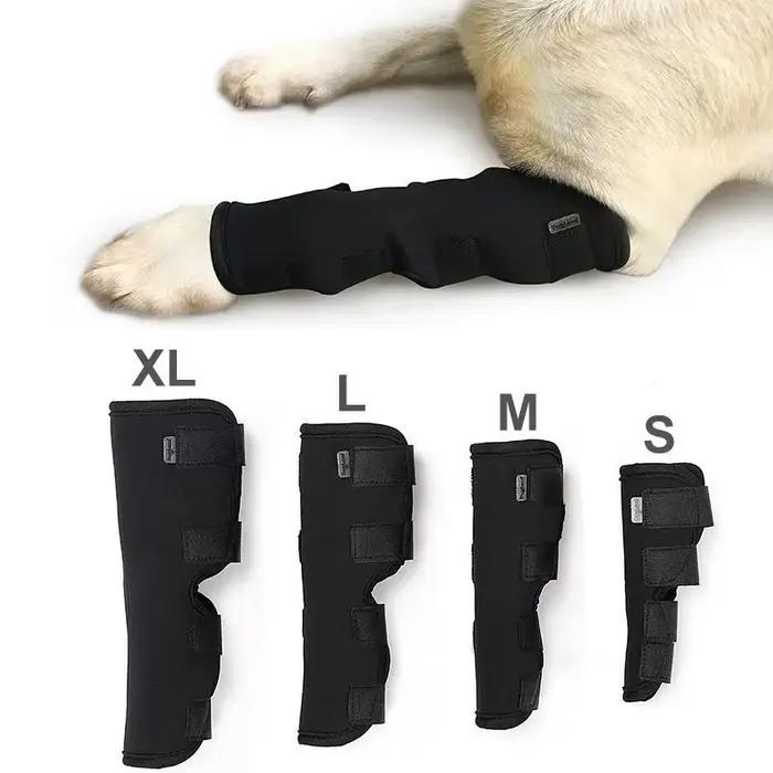 Jambières pour animaux de compagnie, sangle auxiliaire articulaire, baril long, dédié à la récupérat