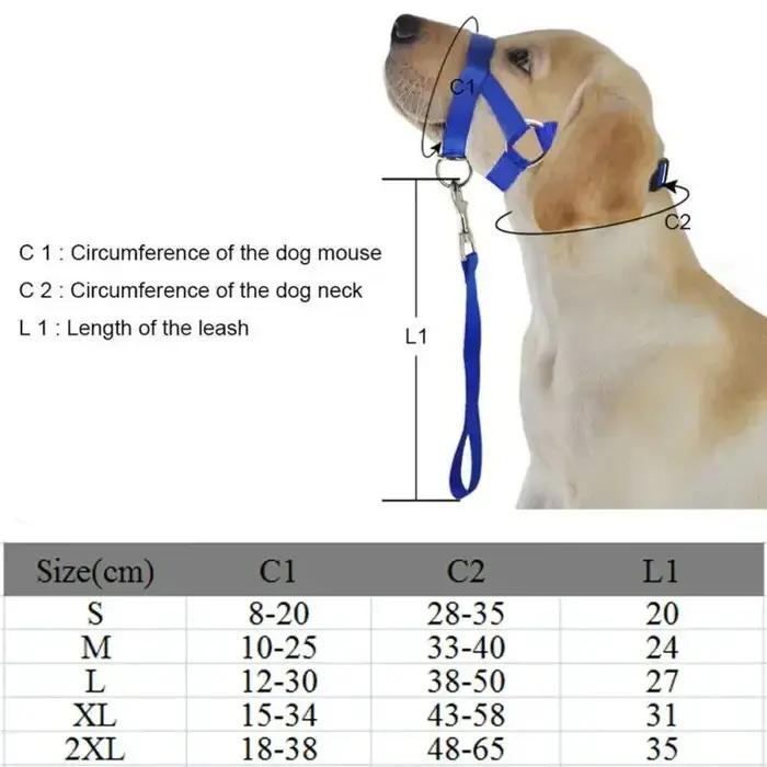 Harnais de dressage créatif pour chien