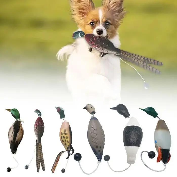 Leurre de simulation de canard colvert pour l'entraînement des chiens
