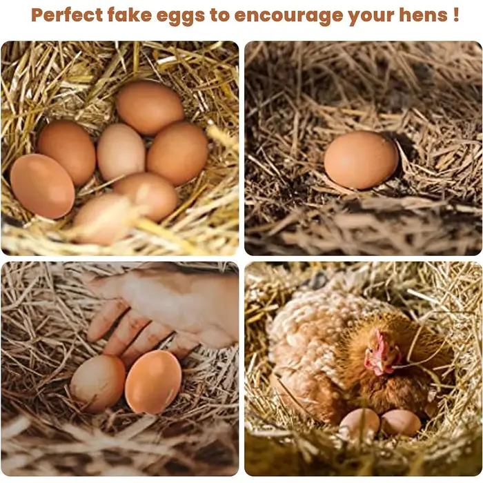 Simulation d'œufs de pâques en bois, 6 pièces, fausses œufs de poule, aide aux poules, outil agricole pour accessoires de nidification de poulet