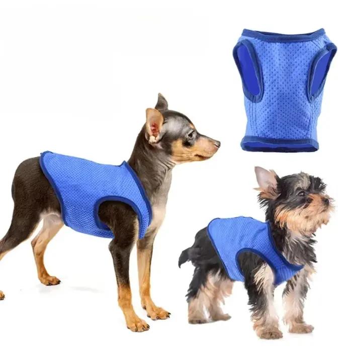 Gilet rafraîchissant pour animaux de compagnie : prévention des coups de chaleur estivaux