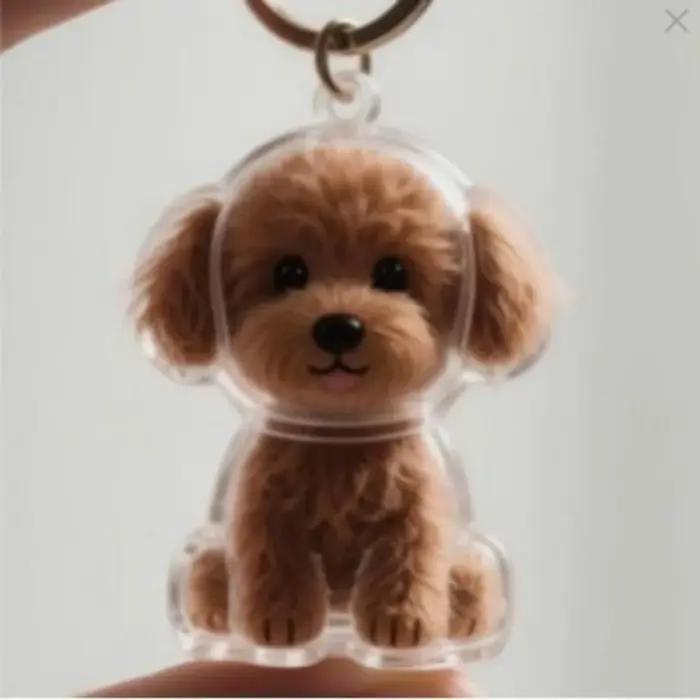 Porte-clés commémoratifs transparents pour stockage de poils d'animaux