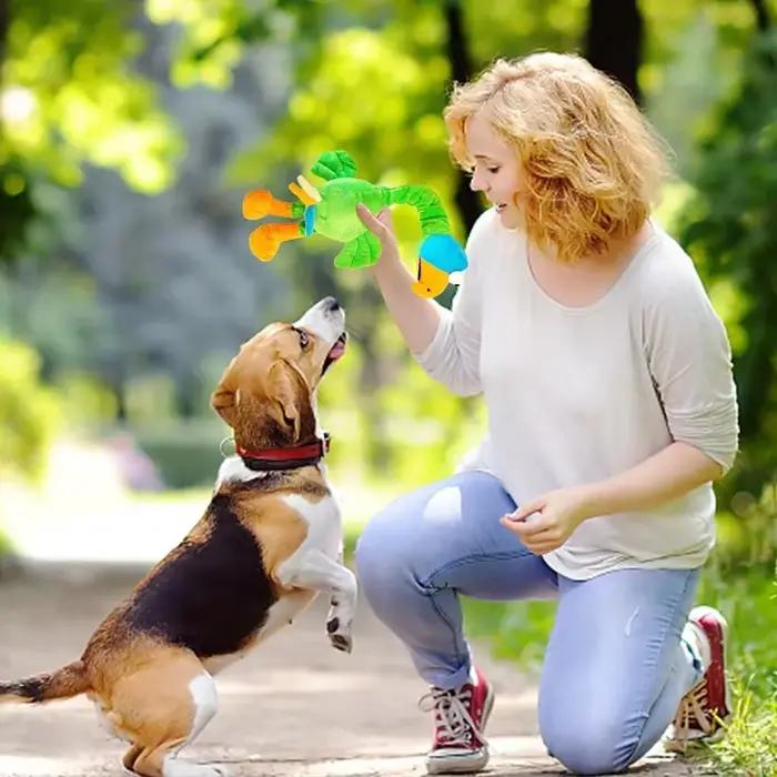 Jouet pour chien poulet criard résistant aux morsures, jouet à mâcher qui couine pour chiots, accessoires d'entraînement interactif pour animaux de compagnie, produits pour animaux de compagnie, chiot