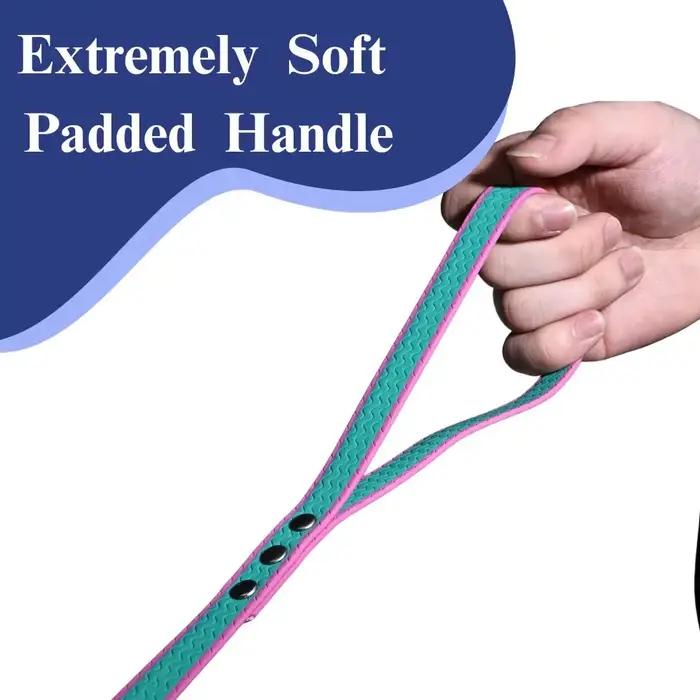 Laisse pour chien en PVC bicolore