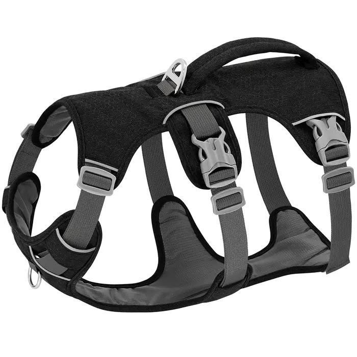 HarNISSAN-SFP Casting pour chien de compagnie en nylon, glaçure durable, poignée réglable, petit, mo