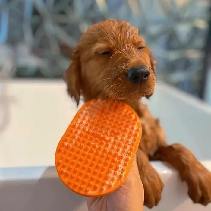 Brosse de bain pour chien, toilettage pour chiens, Massage apaisant, poils en caoutchouc, peigne à curry avec poignée annulaire réglable pour chiens et chats de compagnie