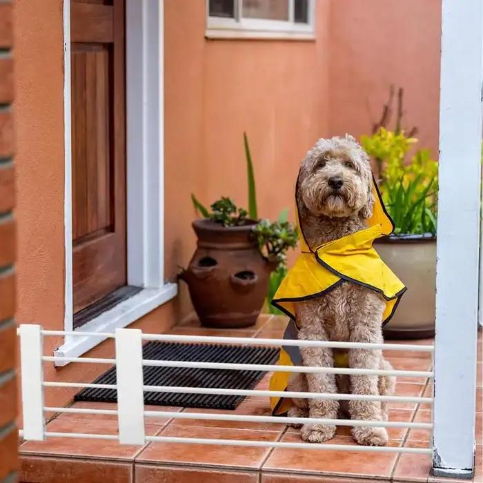 PupMED-Clôture courte rétractable extra large pour animaux de compagnie