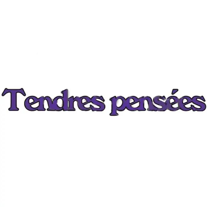 Bonne chanoe Pour Toi mots français communs matrices de découpe en métal pour bricolage Scrapbooking