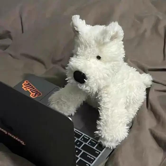 20-40 cm Kawaii West Highland chiot en peluche jouet