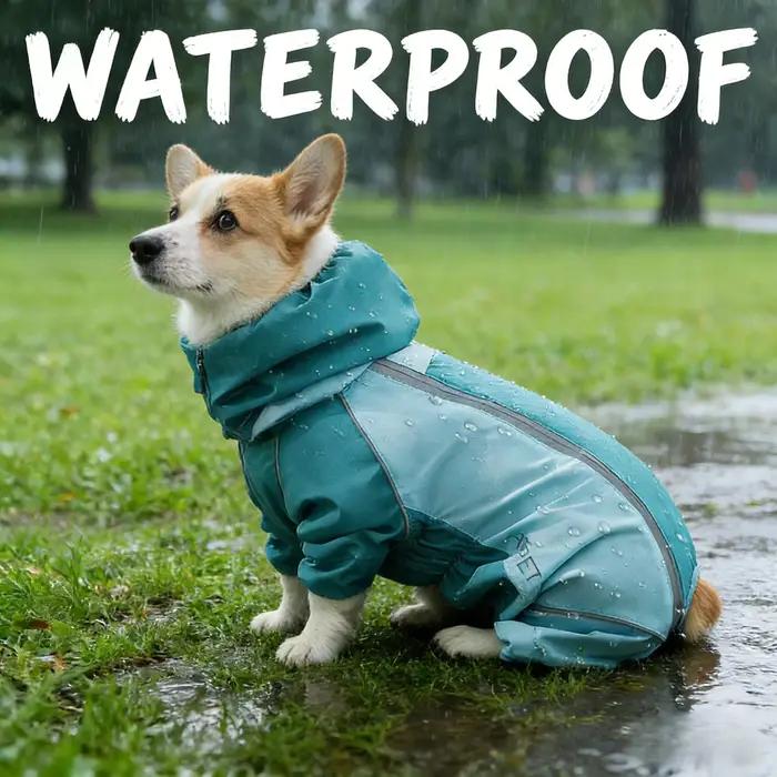 Nouvelle collection 2026 : Manteau de pluie imperméable pour chien