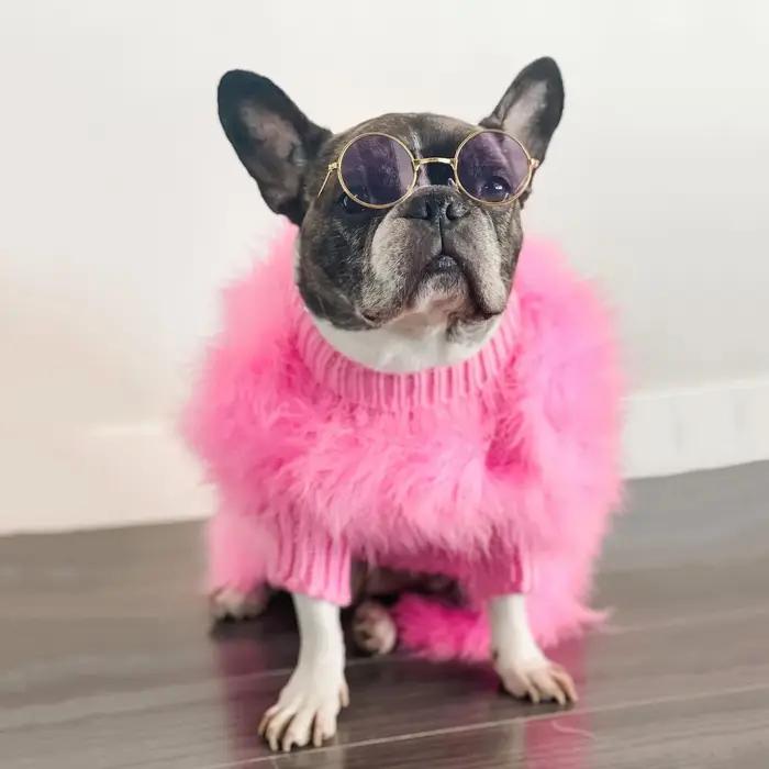 INS nouvelles dames européennes et américaines dinde cheveux automne et hiver chaud chien pull animal de compagnie
