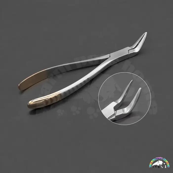 Pince d'extraction dentaire pour chien et chat, outil médical pour hygiène bucco-dentaire, kit de soins vétérinaires pour animaux de compagnie