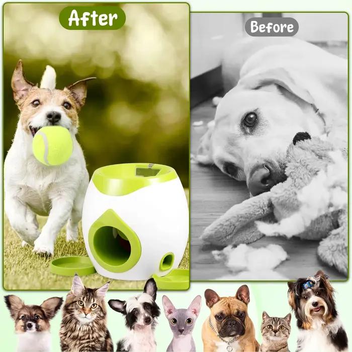 Lanceur de boules pour chien avec distributeur automatique de friandises
