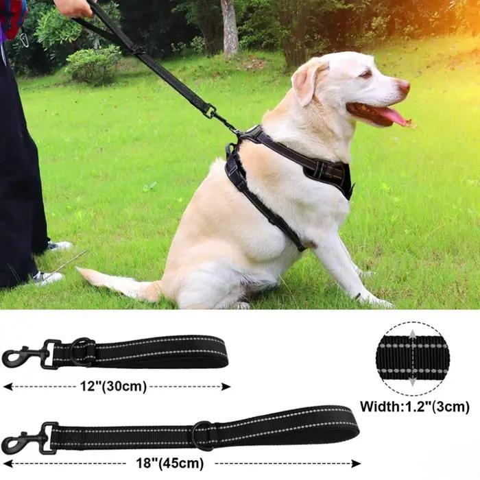 Chien réfléchissant chiens courts en Nylon