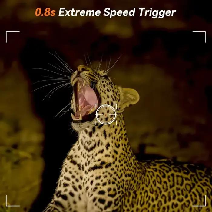 Caméra de chasse à infrarouge sauvage
