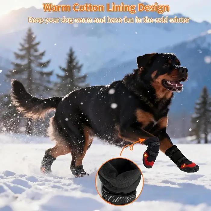 Bottes pour chien pour la neige et la randonnée
