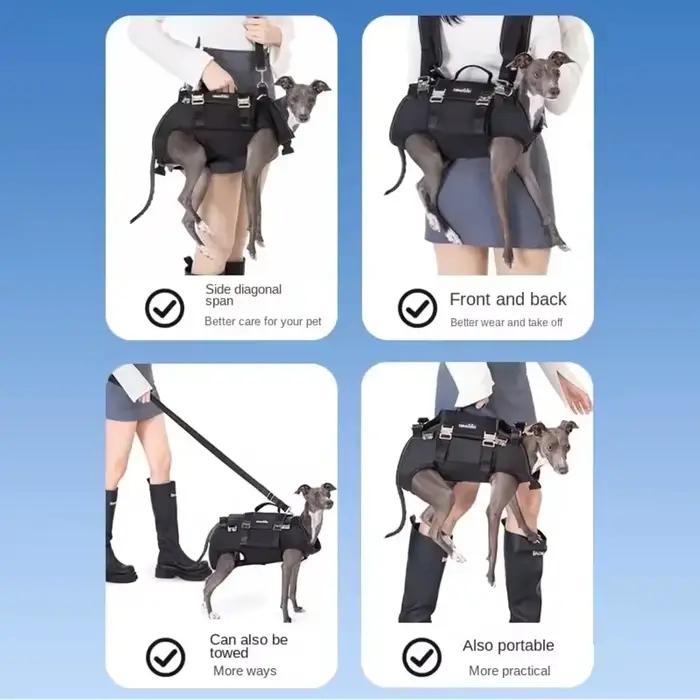 Sac à dos de transport pour chien