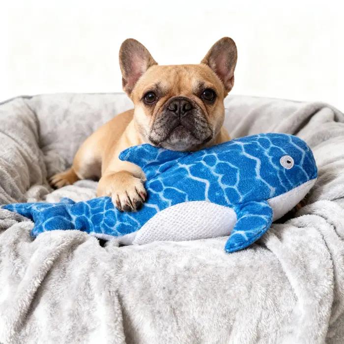Jouet interactif pour chien en peluche requin baleine couineur