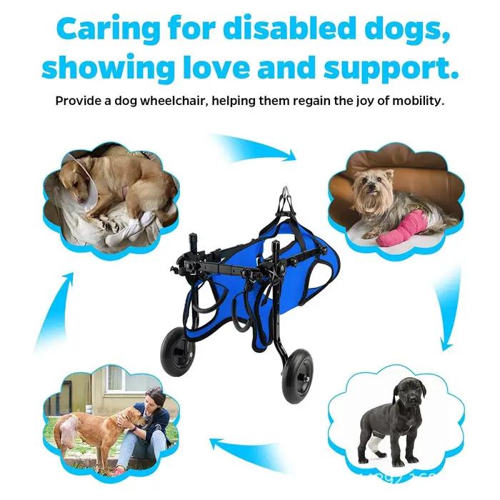 1 pièce Chariot de marche pour animaux de compagnie