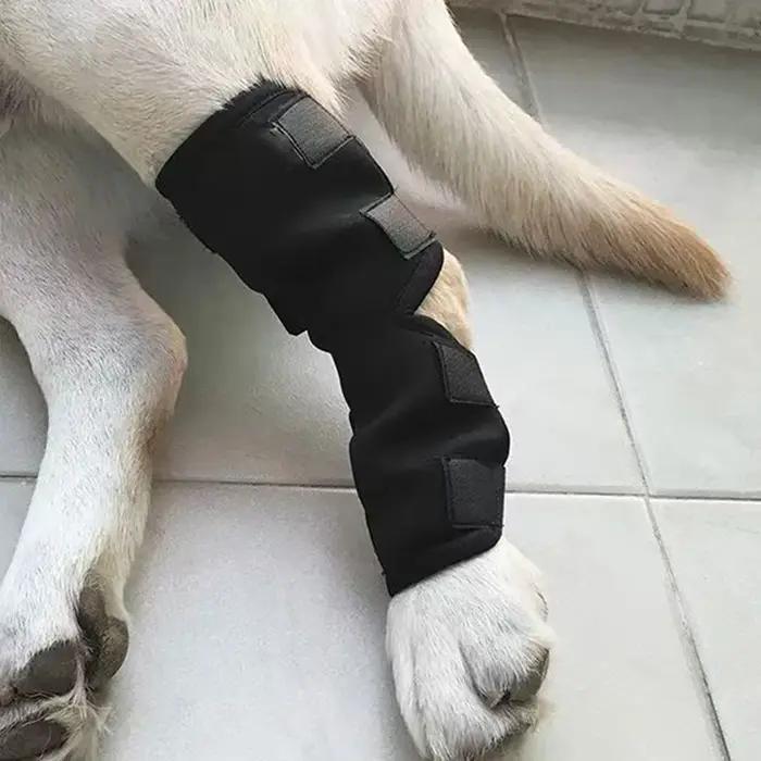 Jambières pour animaux de compagnie