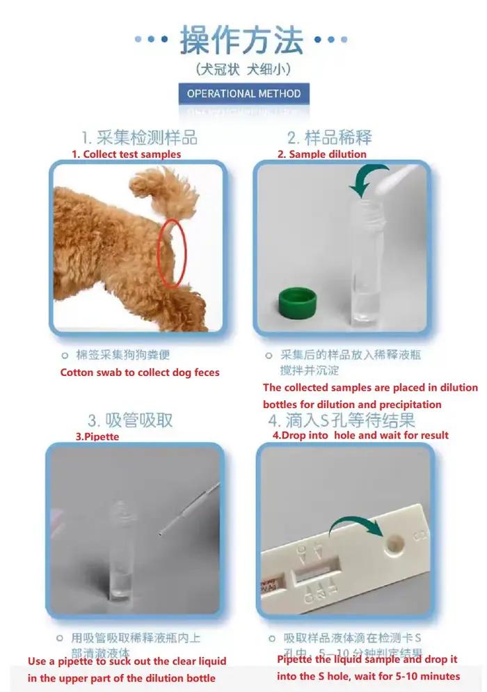 Carte de détection de chien ParvovVILTest, CPV, 20 copies