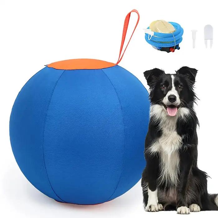 Jouet de dressage pour chiens : balle d'entraînement