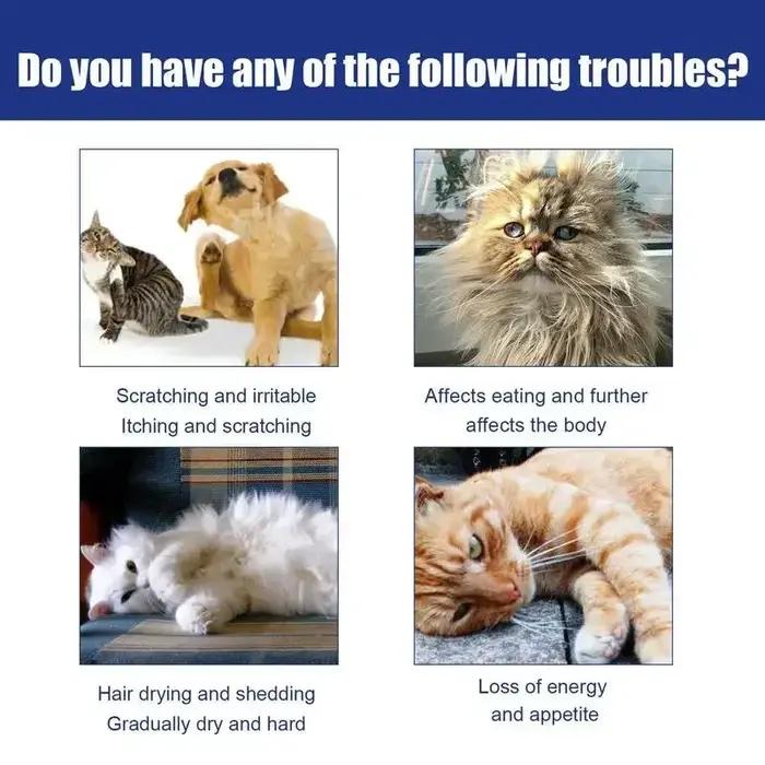 Gouttes anti-puces pour chiens et chats