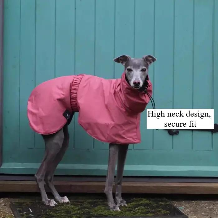 Imperméable imperméable pour chien