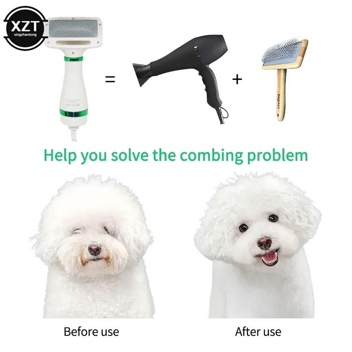 Sèche-cheveux 2 en 1 pour animaux de compagnie