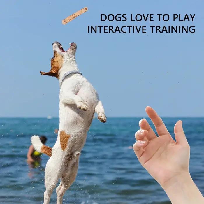 Jouet en bois de café naturel pour chiens résistant aux morsures soulageant l'anxiété pour jouer à l'intérieur et à l'extérieur occasions spéciales pour chiens de toutes tailles